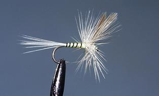 Trout Fly S105