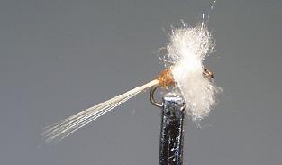 Trout Fly S32