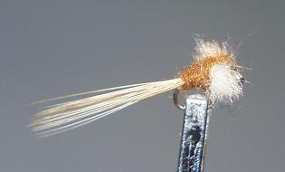 Trout Fly S60