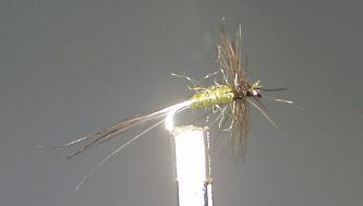 Trout Fly S56
