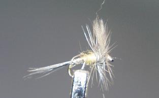 Dry Fly S63
