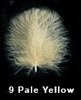 09 Pale Yellow 1 gramo 