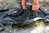 AURORA Redington Boots