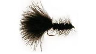 ST301 Wooly Bugger Negro