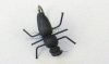 Escarabajo Realista TE38