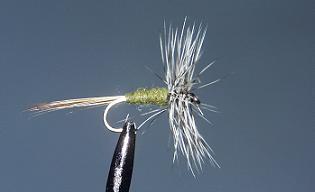 Trout Fly S103