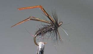Trout Fly S19