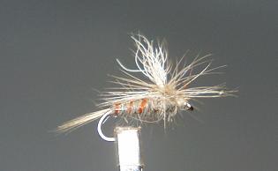 Trout Fly S53