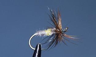 Trout Fly S108