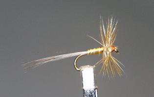 Trout Fly S55