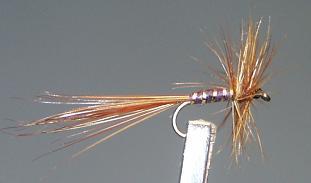 Trout Fly S30