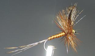 Dry Fly S21