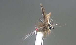 Dry Fly S31