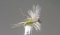 Dry Fly S72