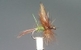 Dry Fly S17