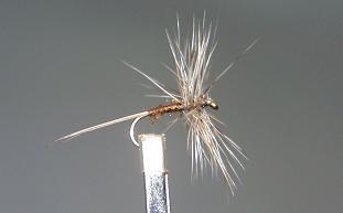 Dry Fly S45