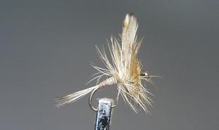 Dry Fly S61