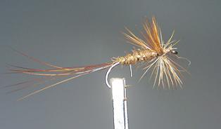 Dry Fly S12