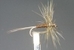 Dry Fly S14