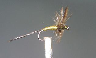 Dry Fly S42