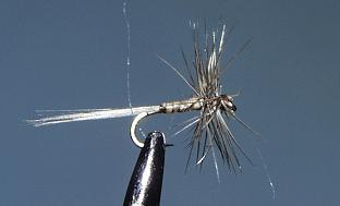 Dry Fly S106