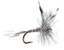 Dry Fly S129