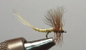 Yellow Mayfly Extended Body S144