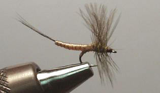 Brown Mayfly Extended Body S145
