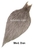 Whiting Bronze Cape